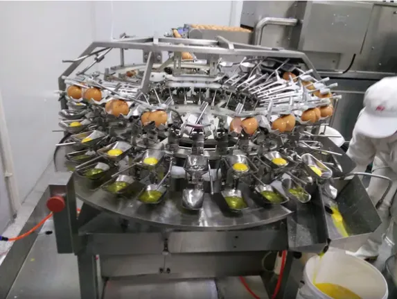 Whole Automatic Egg Processing Line photo-6