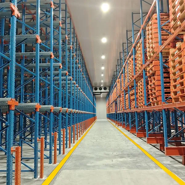 Custom-Engineered Anti-Corrosion Cold Storage Shelving For Freezer Warehouse