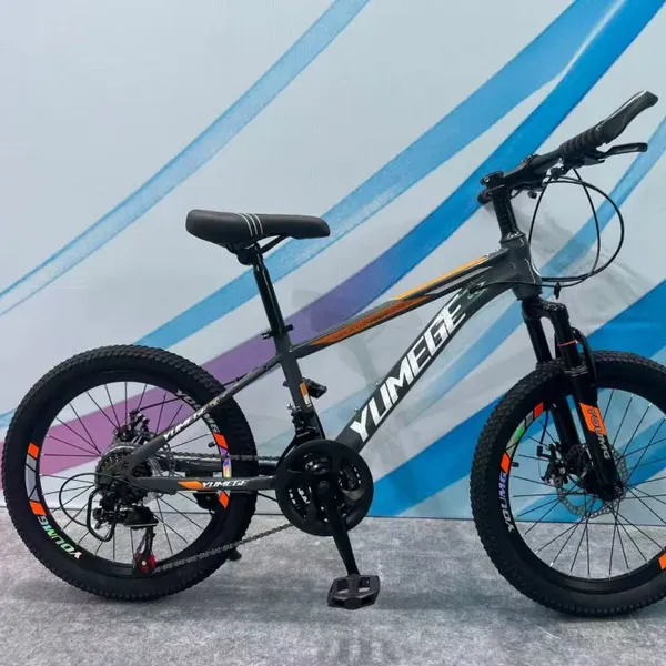 Mountain Bike photo-2