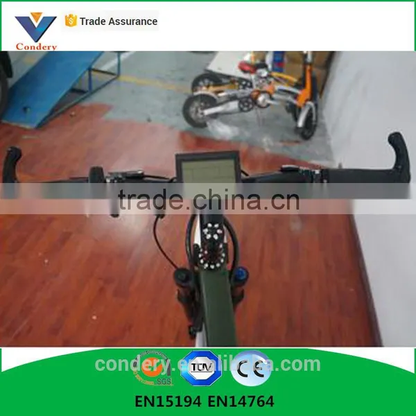 300W 36V Snow Electric Mountain Bike Electric Bike China EN15194 Accept OEM photo-4