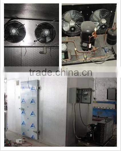 Fruit and Vegetable Warehouse/Cold Room photo-3