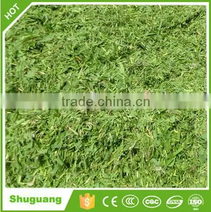 Animal Feeding Agricultural Machinery Chopper photo-3