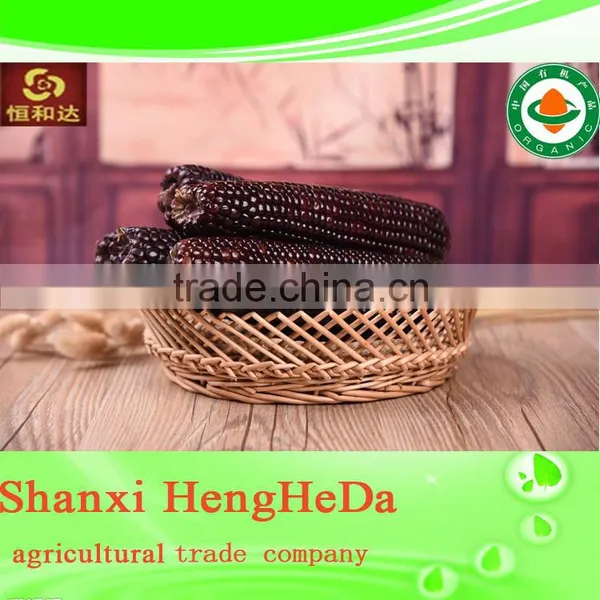 New Style New Products for Teenagers Yellow Corn photo-4