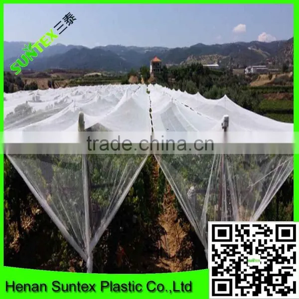 Supply Various Apple Tree Anti Hail Net/hail Protection Net/anti Brid Net photo-5