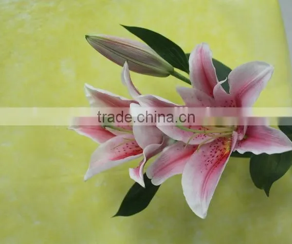 Colorful Best Selling High Quality Flowers Liliess photo-3
