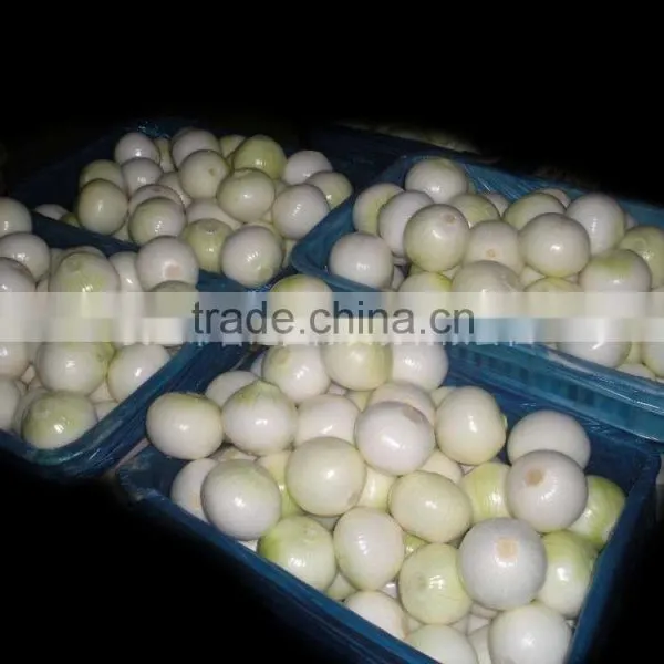2014 New Crop High Quality Yunnan Fresh Yellow Onion photo-3