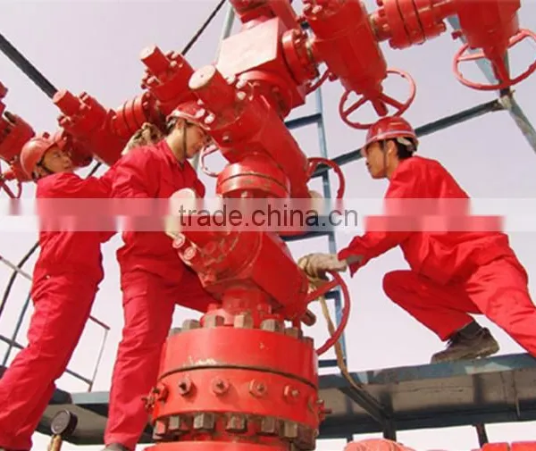 X-mas Tree Wellhead for Oil Drilling on Sale photo-2