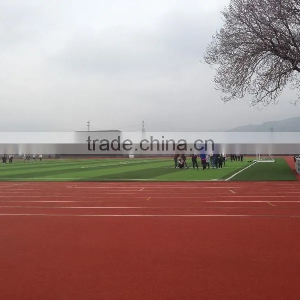 Stadium 8lanes High School Running Athletic Track Tartan Track photo-6