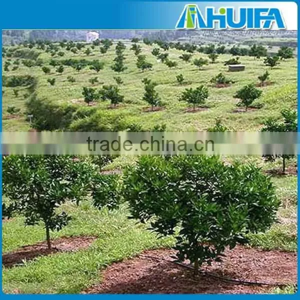 High Quality Plastic Drip Pipe Irrigaiton for Agriculture photo-5