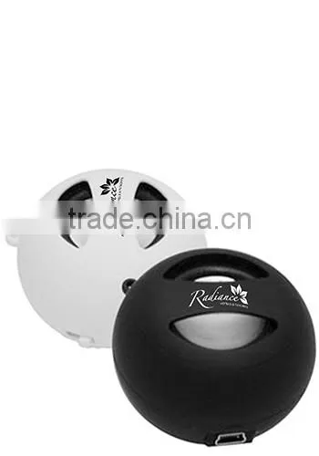 Mini Speaker