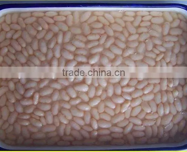 Price for High Quality Canned White Kidney Beans photo-2