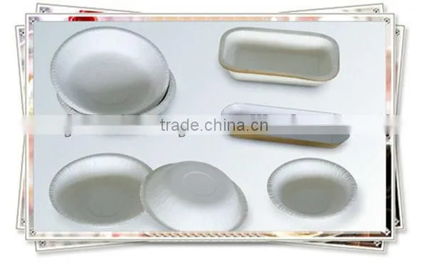 Especially Ordered Pneumatic Super Paper Plate Machine photo-5