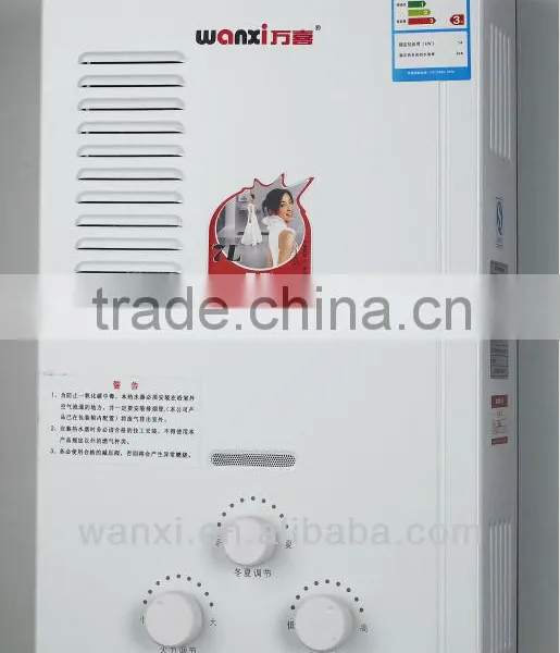 Flue Type Gas Water Heater