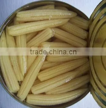 Baby Corn in Glass Jar