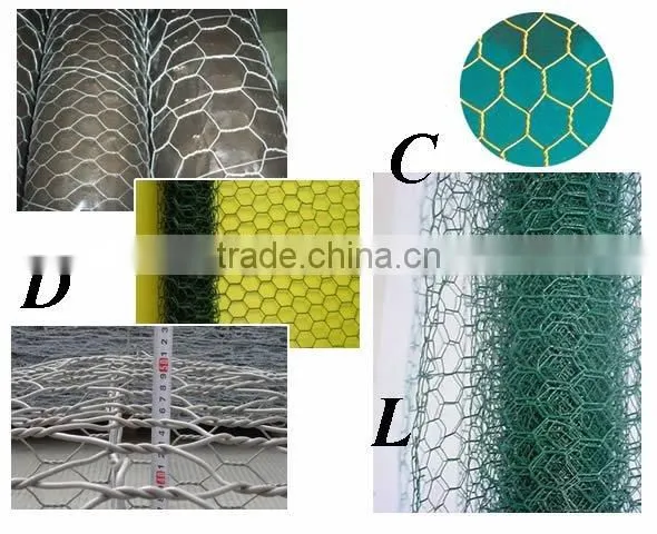 Lobster Trap/fishing Wire Netting