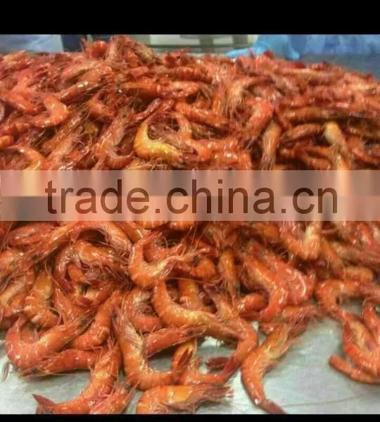 Tiger Prawn Cooked HOSO photo-3