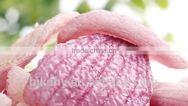 Dehydrated Purple Onion Chips photo-2