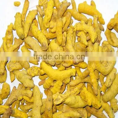 2015 Fresh High Quality Carcuma Longa