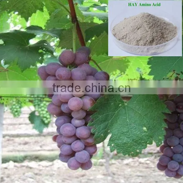 Pure Amino Acids / Vegetable Amino Acids / Amino Acid Fertilizer photo-2