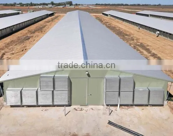 Steel Structure Chicken Shed /environmental Control Steel House photo-3