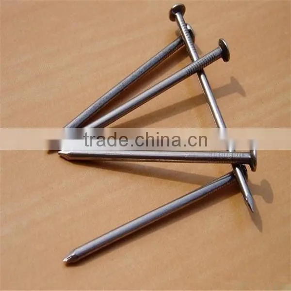 Polish Common Nail From Professional Factory photo-3