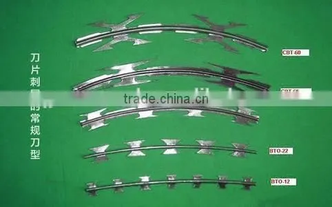 High Quality Low Price Razor Barbed Wire in China ( Manufacturer) photo-2