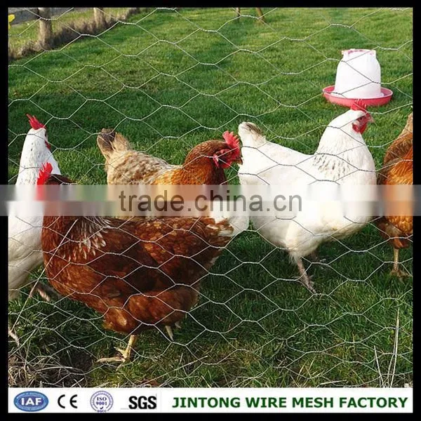 Pvc Coated Hexagonal Mesh Cheap Chicken Wire Lowest Price Chicken Wire Mesh photo-6