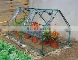 Perfect Design Tube Cold Frame Greenhouse Kits HX52012A