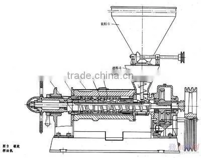 5TPD Multi-functional Stainless Steel Cooking Peanut Oil Manufacturing Machine With 12 Months Warranty photo-6