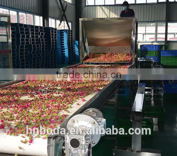 Mesh Machine Type and New Condition Mesh Belt Dryer photo-5