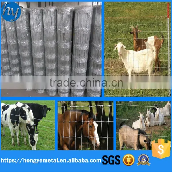 Welded Wire Mesh Prices/welded Wiremesh Export Abroad photo-6