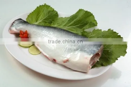 Pangasius Hypophthalmus photo-5