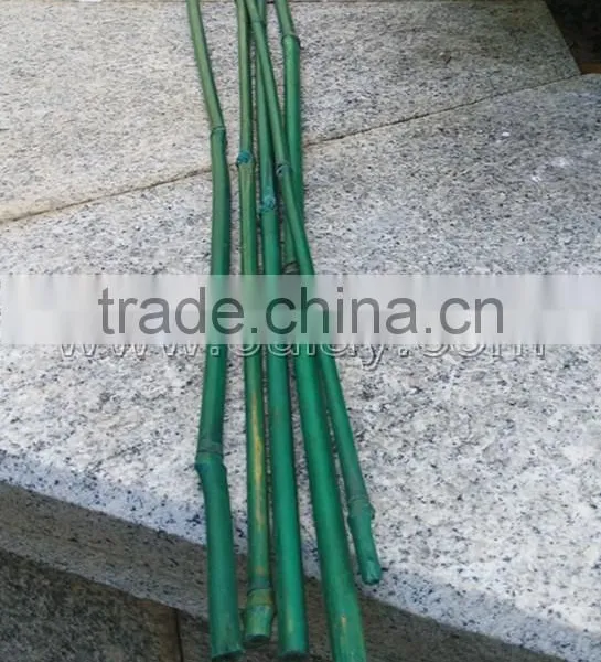 Plastic Coated Bamboo Canes photo-2