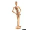 Manikin