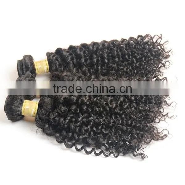 Wholesale 100% Natural Indian Human Hair Price List, Unprocessed Virgin Raw Indian Curly Hair photo-2