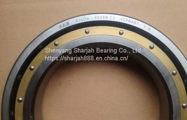 FAG 6048 Deep Groove Ball Bearing