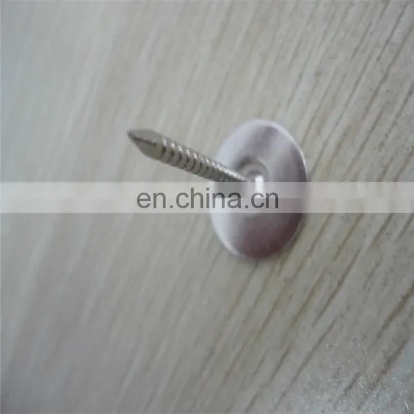 Common Steel Wire Nail From China Factory photo-4
