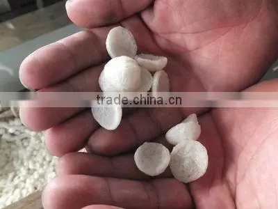 Full Automatic New Condition Modified Starch Extruder photo-3
