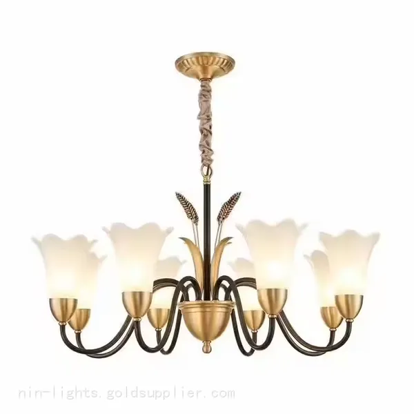 Modern European Style Living Room Bedroom Chandelier Fixture photo-4