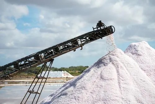 Lake Salt Processing Line Crude Salt Washing and Crushing Production Line photo-2