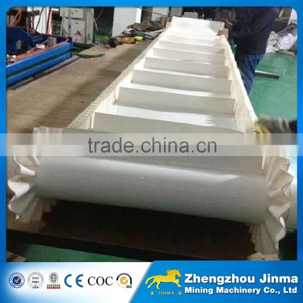 High Quality Fruit Belt Conveyor photo-5