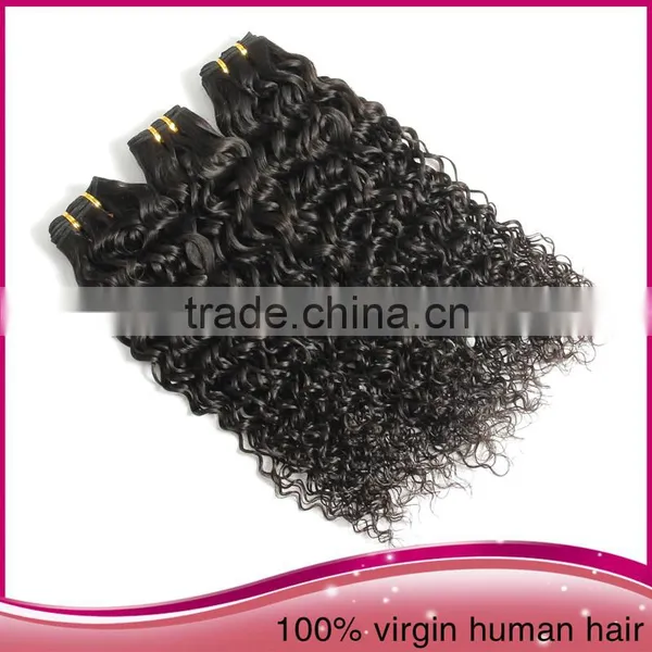 Wholesale Unprocessed Brazilian Human Hair Extension, Afro Women Kinky Curly Human Hair Extension photo-5