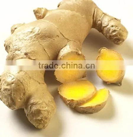 Ginger