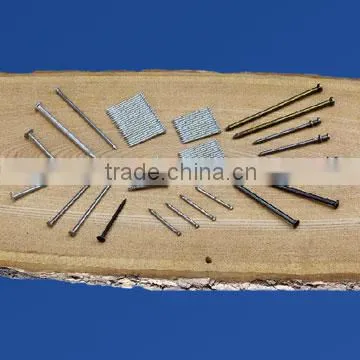 Good Quality Common Nail by Polished photo-2