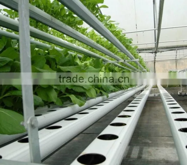 Effective Hydroponics / Soilles / NFT Channel / Growbag / Growing Culture for Hydroponic Greenhouses photo-3
