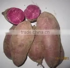 2015 China 100% Fresh Sweet Potato Rich in Fiber photo-6