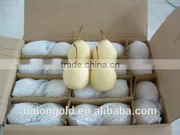 Light Yellow Fresh ya Pear Bulk Purchase photo-4