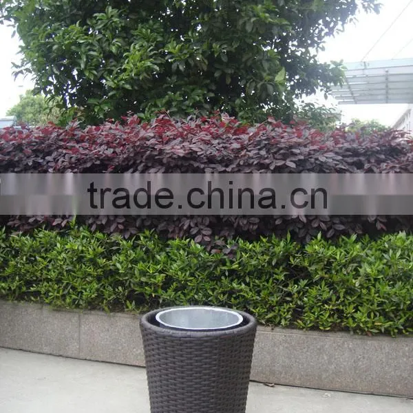 6pcs Rattan Sofa Set,packing: 62x62x117cm/pc/ctn. 1* Flower Pot, Outside Pot photo-4