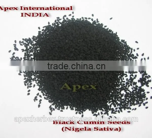 Black Seed /Habbatus Sauda / Black Cumin Seeds / Minyak Habbatus Sauda