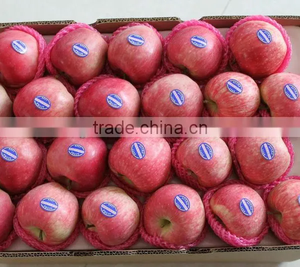 175# Fresh Fuji Apple photo-6